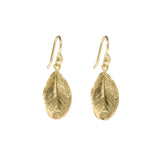 Boxwood Leaf Earrings
