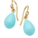 Robin's Egg Earrings