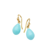 Robin's Egg Earrings